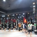 조대팀맥 이미지