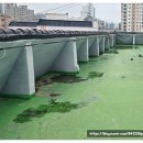 산호동313 | 창원방수 - 바름건설에서 옥상, 외벽방수 고민 해결했어요