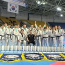 국가대표 태권도 금메달도장 이미지