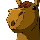 티트리 호텔 이미지