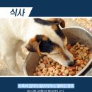 한강동물병원 이미지