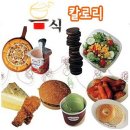 [음식칼로리] 하루 권장 칼로리 & 음식 칼로리 이미지