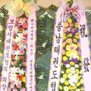 계룡태권도 이미지