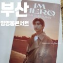 이로운친구 PC방 | 부산벡스코 임영웅 부산콘서트 친구 따라가서 사진 찍어주기 (feat.나의 덕질)