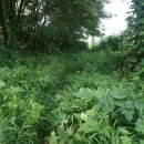 삼일공원로 이미지