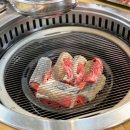 한우의 진수