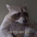 대동정육점 - 제천시 독순로13길 3 | 대동정육점