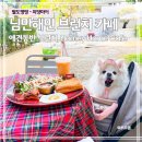 HOME 밥 | 치앙마이 애견동반 브런치 카페｜님만해민 Homey Home Cafe 후기