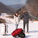 불타는청춘 이미지