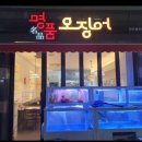 오징어회가 땡길 땐? 김해 율하 [명품오징어]에서 먹자