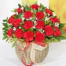 유카세탁 이미지