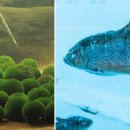 일상의 생활요리 (야간) 이미지