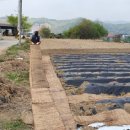 상안농장 이미지