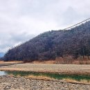 문경 오미자테마터널 이미지