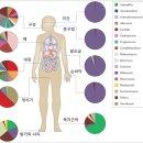 똥2 이미지