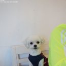 베라데로 이미지