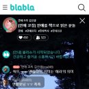 블라블라(BLABLA) 네이버블로그