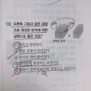 (중1과학) 변성암, 대리암 질문이요 이미지