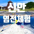 증도소금박물관 | [신안] 증도 태평 소금 박물관 염전체험 후기