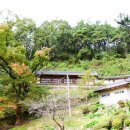 영천 죽림사 철조여래좌상 | 영천 유봉산 죽림사(竹林寺) / 죽림사 휴림원 / 경북 영천시 금호읍 죽방길 279-57