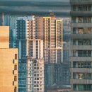 정자일로 이미지