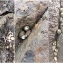 안덕면 대평 소기왓로 이미지