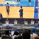 오마이바스켓(oh my basket)