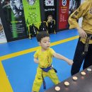 경희대신나무태권도장 이미지