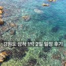 새천년펜션 | 삼척 1박 2일 일정 (아이와함께 갈남항 스노클링, 삼척 맛집, 카페, 삼척 펜션, 초곡용굴촛대바위길)