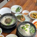 나연이네 | 제주도삼계탕 성산읍맛집 나연이네족탕 솔직후기