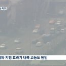 성수초등학교 이미지