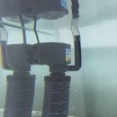 협신아크릴 | 아쿠아박스(AQUABOX) 상면여과기 사용 후기