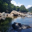 지리산대웅모텔 이미지