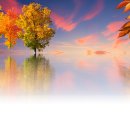 풍경갈비 이미지