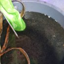 MEGABOX게임장 이미지