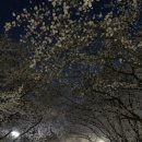 경기도 수원시 팔달구 경수대로519번길 이미지