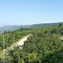 서안농장 이미지