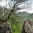 6월4일(화) 충북 단양 소나무와 바위가 어우러진 아름다운 도락산 쌍용회관 06시30분 출발 회비50,000원(석식제공) 이미지