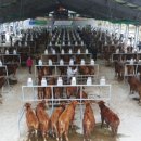 진주축산업협동조합 이미지