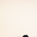 씬셀프스튜디오 이미지