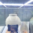 강냥이네
