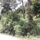 이천목장 이미지