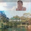 피넛버터팔콘