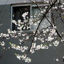 호수언저리 이미지