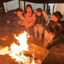 천안밤나무골가족사랑캠핑장 이미지