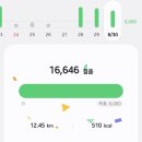 미인도헤어 | 202508 오키나와 3일차 : 마키시시장,포타마,후쿠슈엔,류큐호텔 &amp; 리조트 나시로 비치