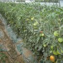 비사벌농장 이미지