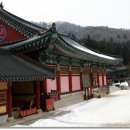 광무농장 이미지