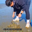 태안 오션뷰 숙소 골든웨이브 서해 갯벌체험 펜션 물때 바베큐 준비물 조개잡이