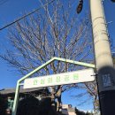 철산1동행정복지센터 다목적실 | 울산 동구 화정동에 위치한 소나무 숲이 보존되어있는 가볼만한 방문지, 화정공원에 방문해보다